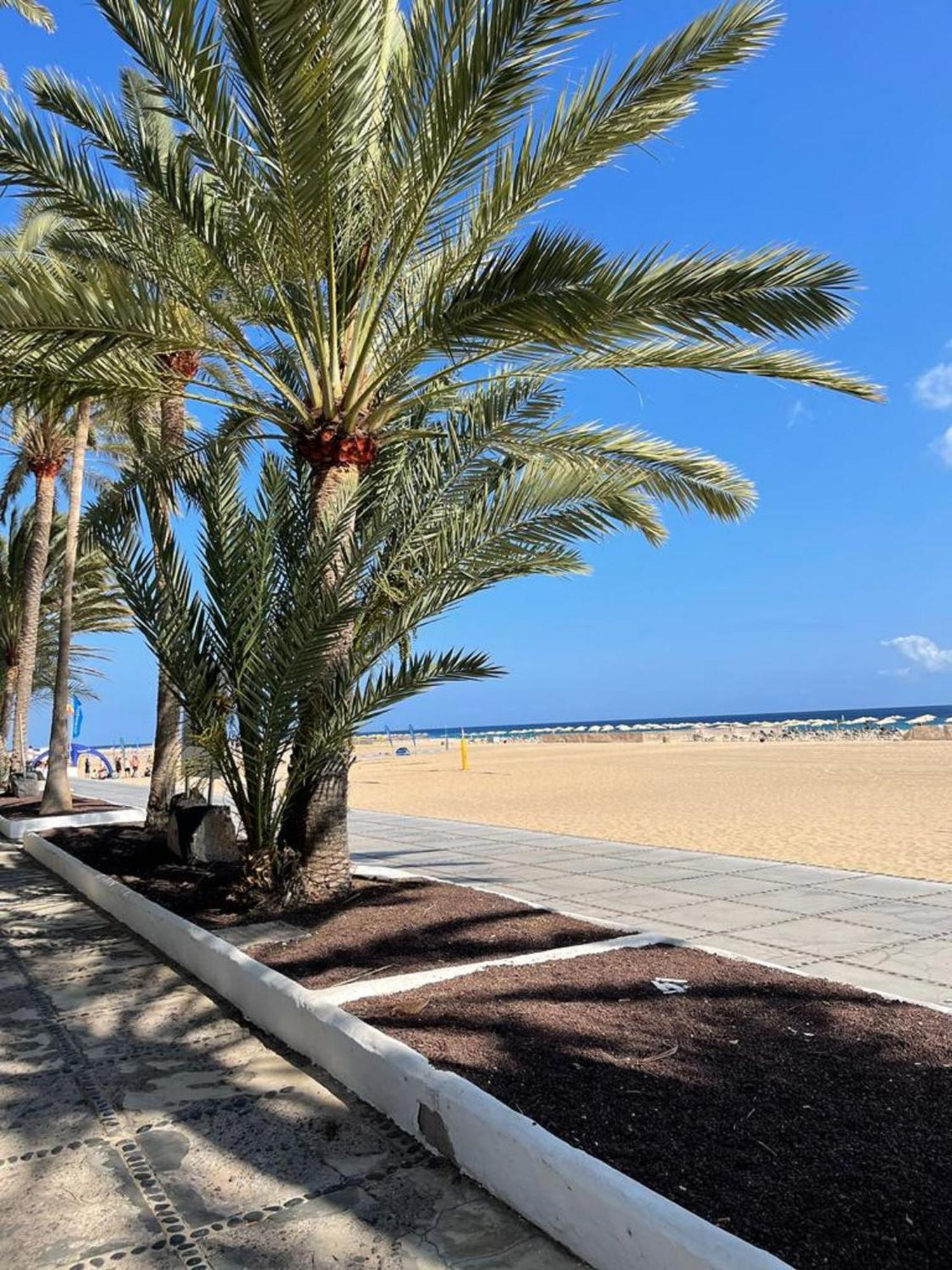 Appartamento Casa Reina Playa Jandia Esterno foto
